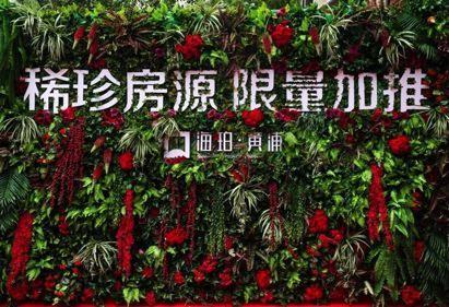 海(hǎi)珀黃(huáng)浦稀珍房(fáng)源限量加推